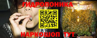 твердый Тара