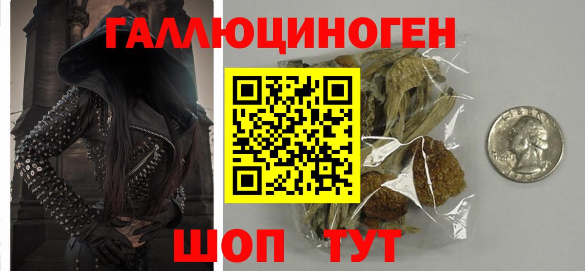 Галлюциногенные грибы GOLDEN TEACHER Нурлат